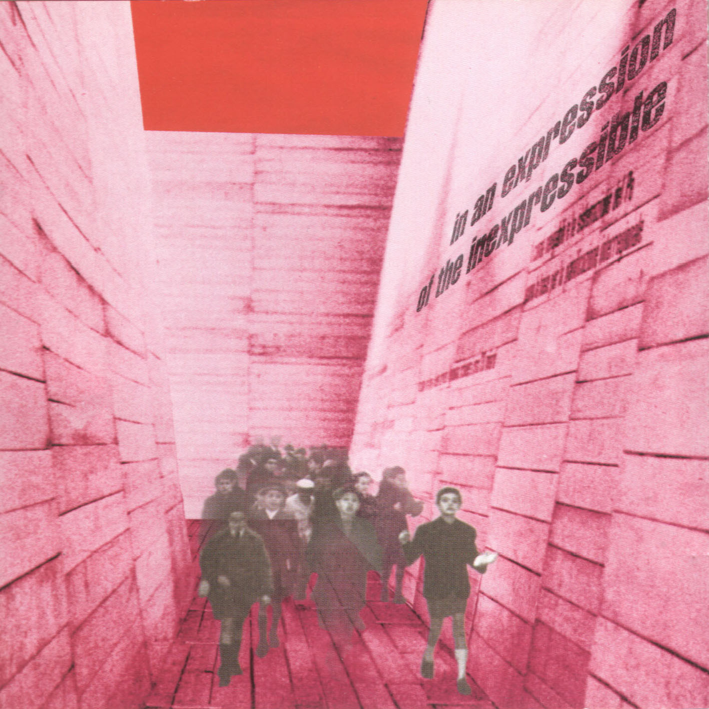 Blinded Colony - Divine Blinded Colony - Divine