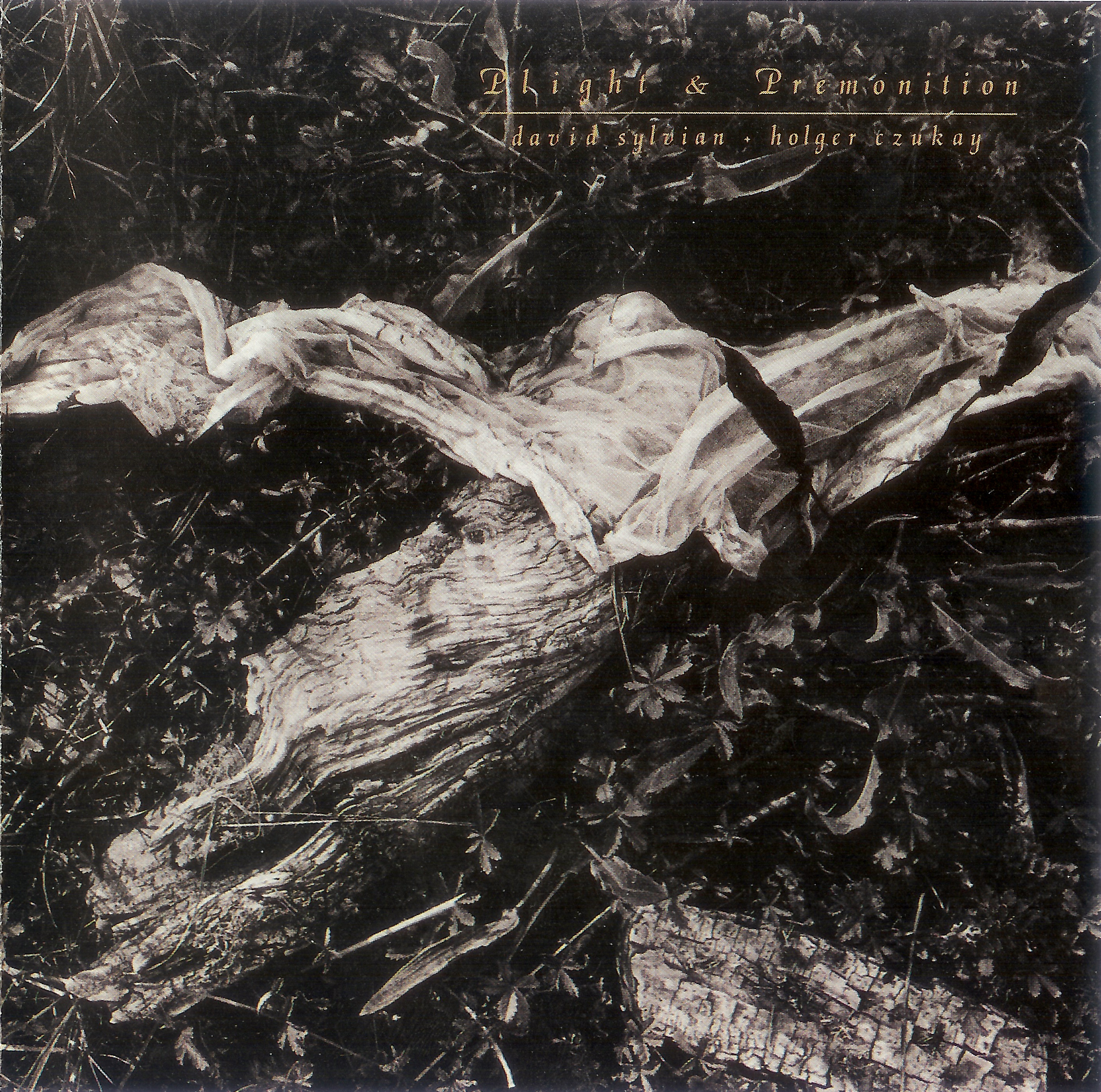 David Sylvian - Holger Czukay - Words With The Shaman David Sylvian - Holger Czukay - Words With The Shaman